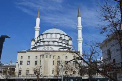 Zzet Pasa Cami