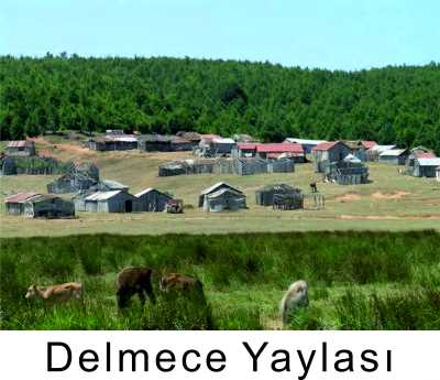 Delmece Yaylasi