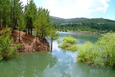 Camlik Milli Parki