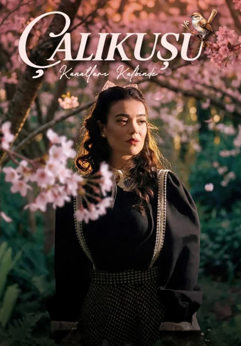 Çalıkuşu – Kanatları Kalbinde