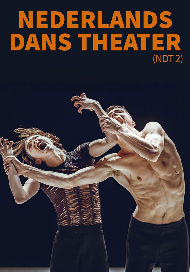 Nederlands Dans Theater (NDT 2)