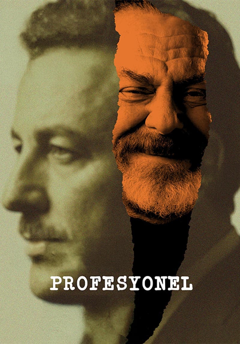 Profesyonel