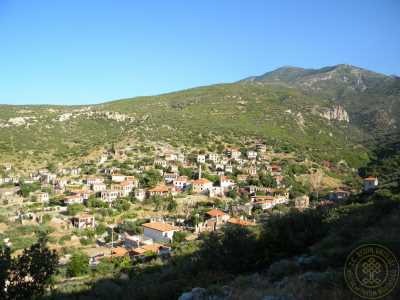 Eski Doganbey Koyu